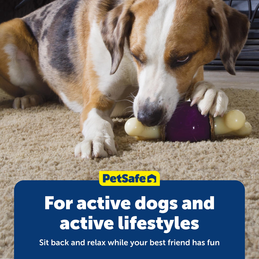 PetSafe Bouncy Bone: aroma vainilla que entusiasma el juego.