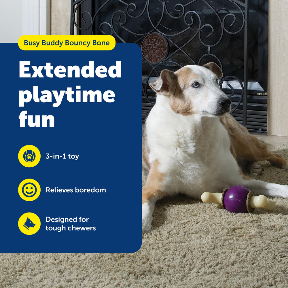 PetSafe Bouncy Bone: bola de caucho para juego interactivo y alivio de la ansiedad.