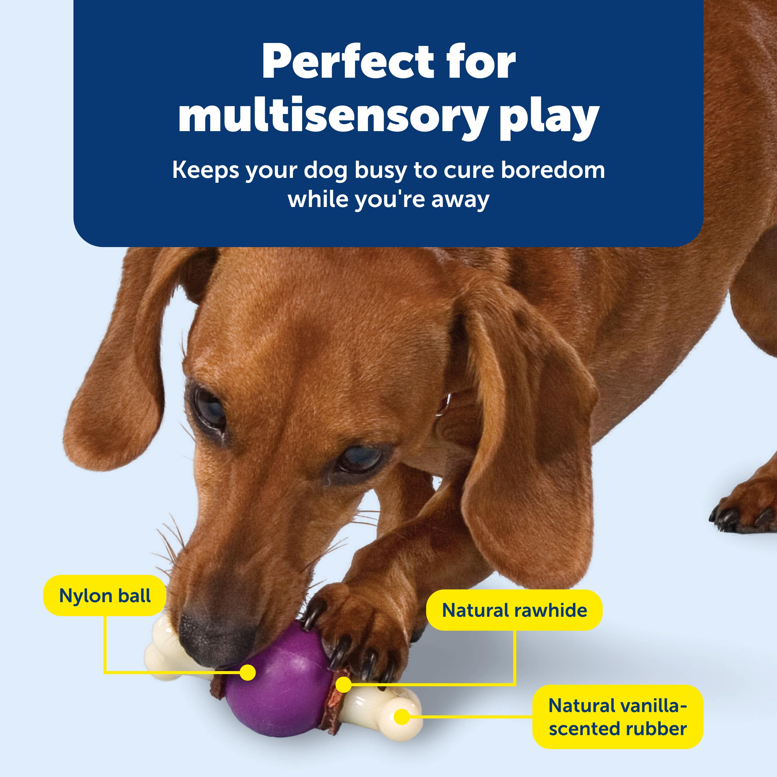 PetSafe Busy Buddy Bouncy Bone sistema ajustable para premios untables.