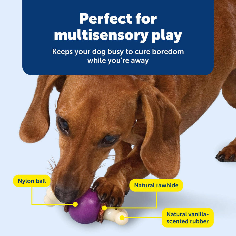 PetSafe Busy Buddy Bouncy Bone sistema ajustable para premios untables.