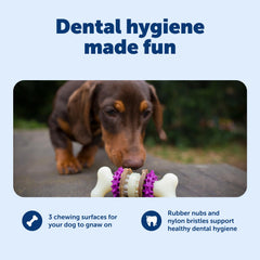 PetSafe Bristle Bone con anillos recargables para mayor entretenimiento