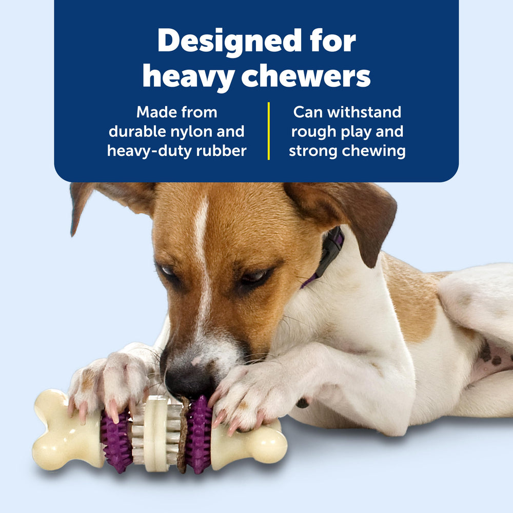 PetSafe Bristle Bone diseño duradero para masticadores fuertes en interiores y exteriores
