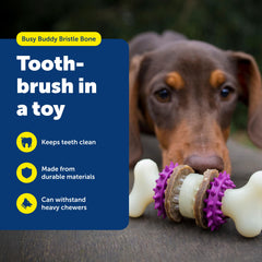 PetSafe Bristle Bone masajea encías durante la masticación
