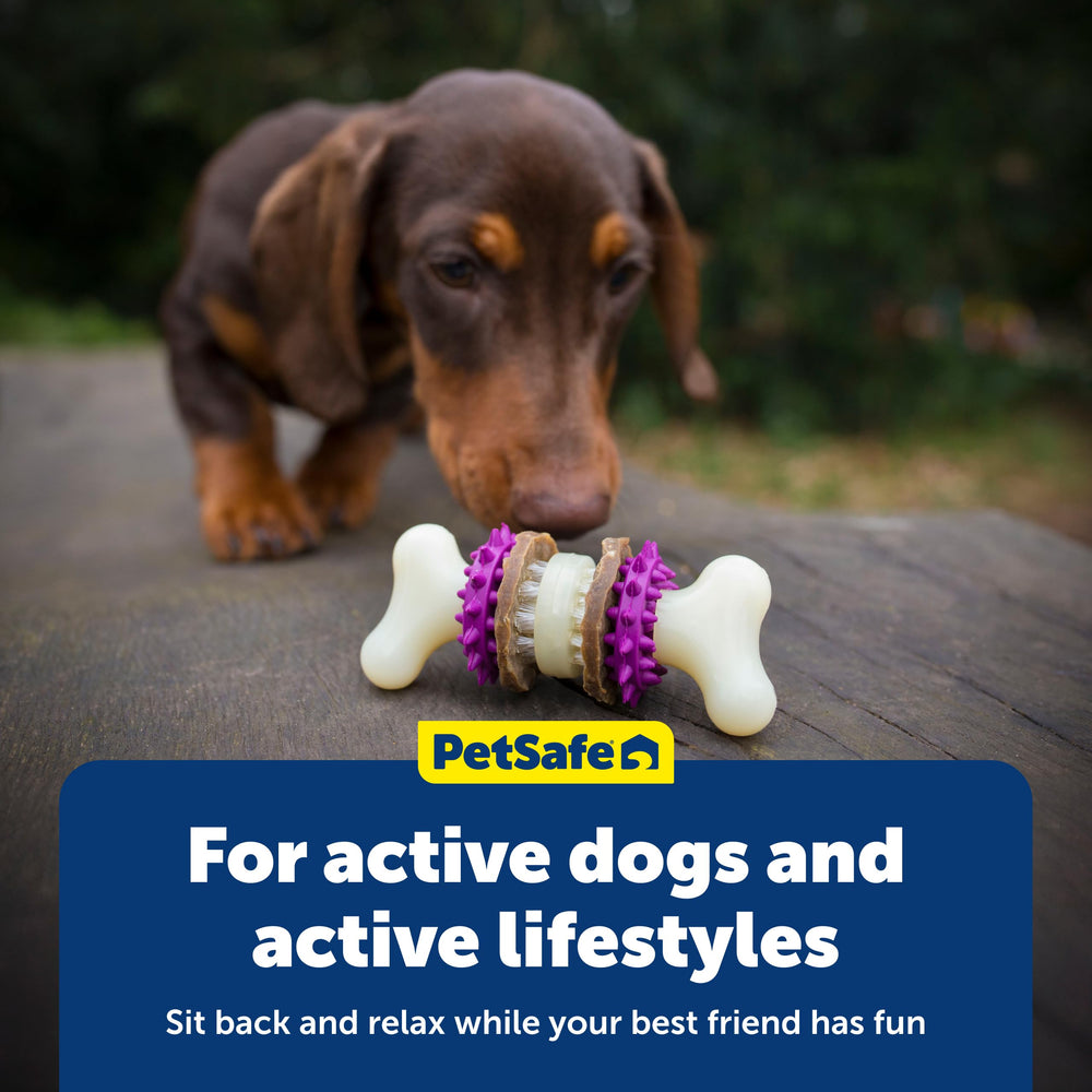 PetSafe Bristle Bone canaliza instintos de morder de forma segura