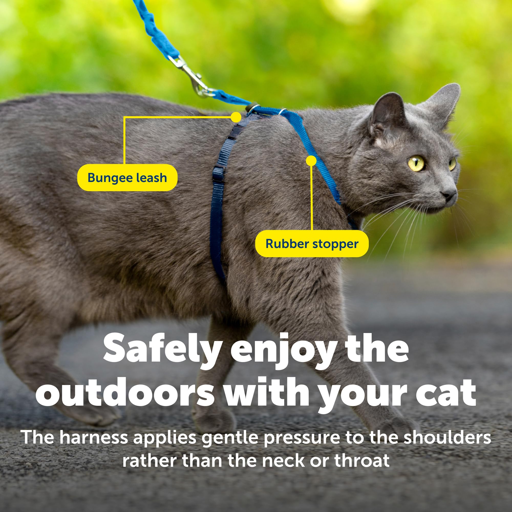 PetSafe bungee leash gato, correa elastica para movimiento suave