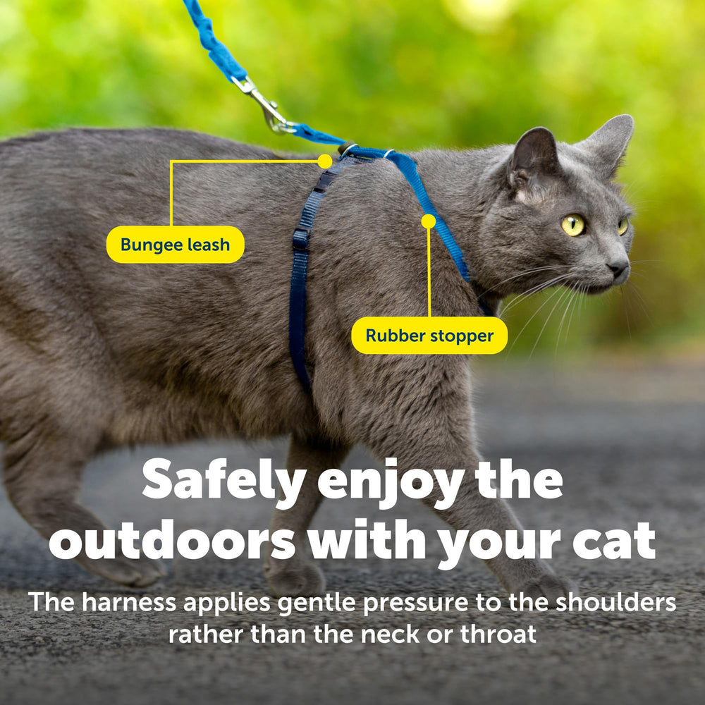 PetSafe bungee leash gato, correa elastica para movimiento suave