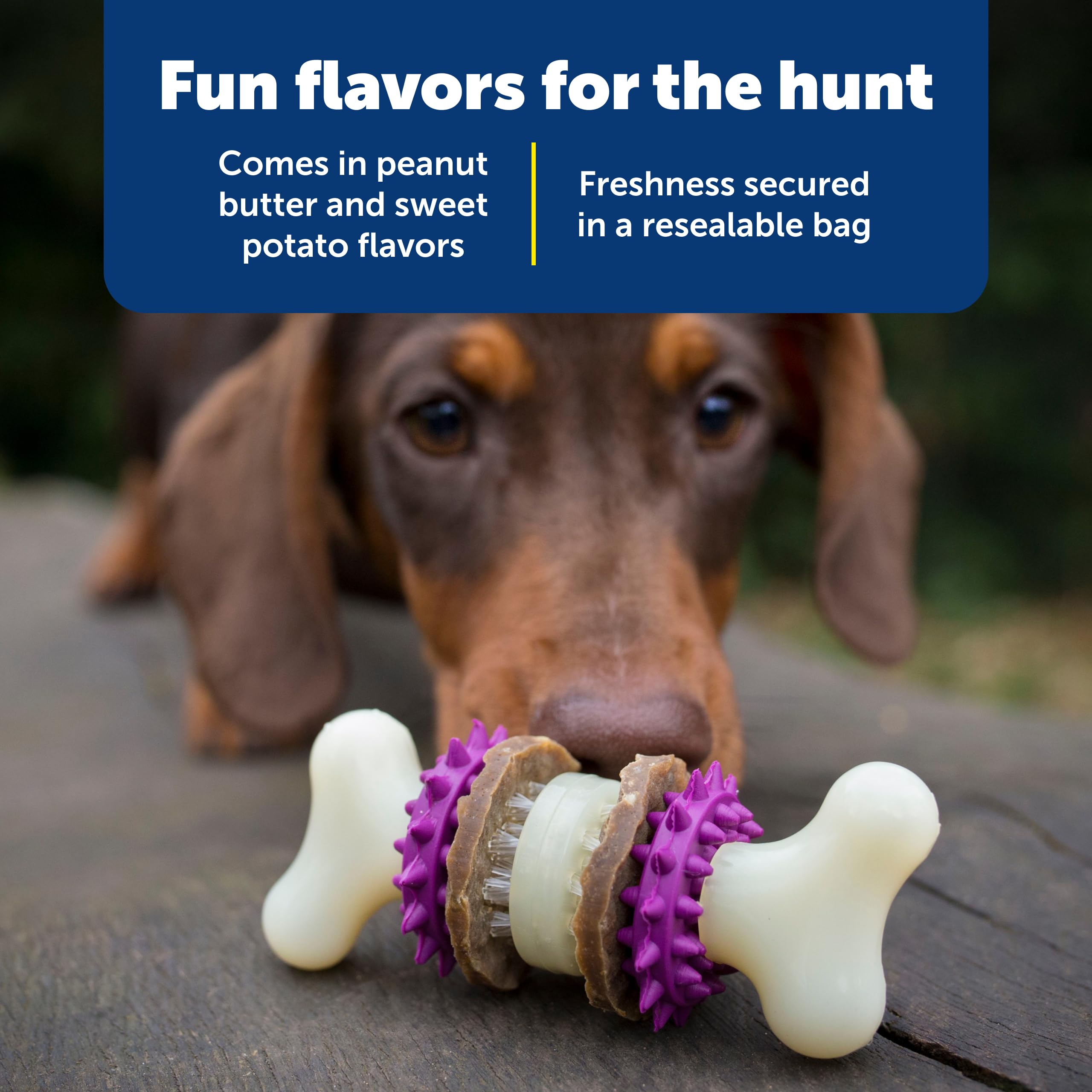 Recompensa duradera para juegos con el sistema Busy Buddy de PetSafe.