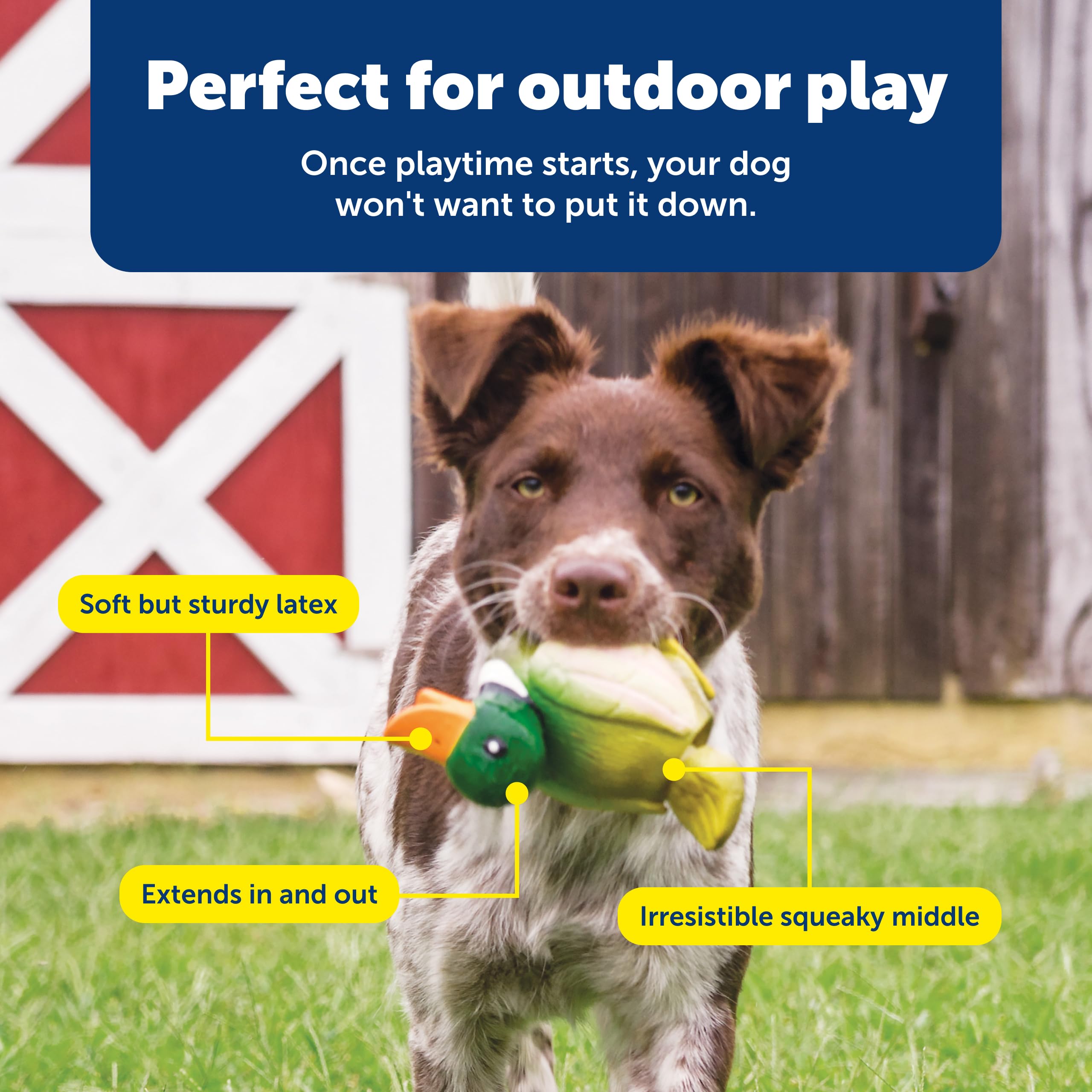 PetSafe pato de exterior ideal para paseos y patios