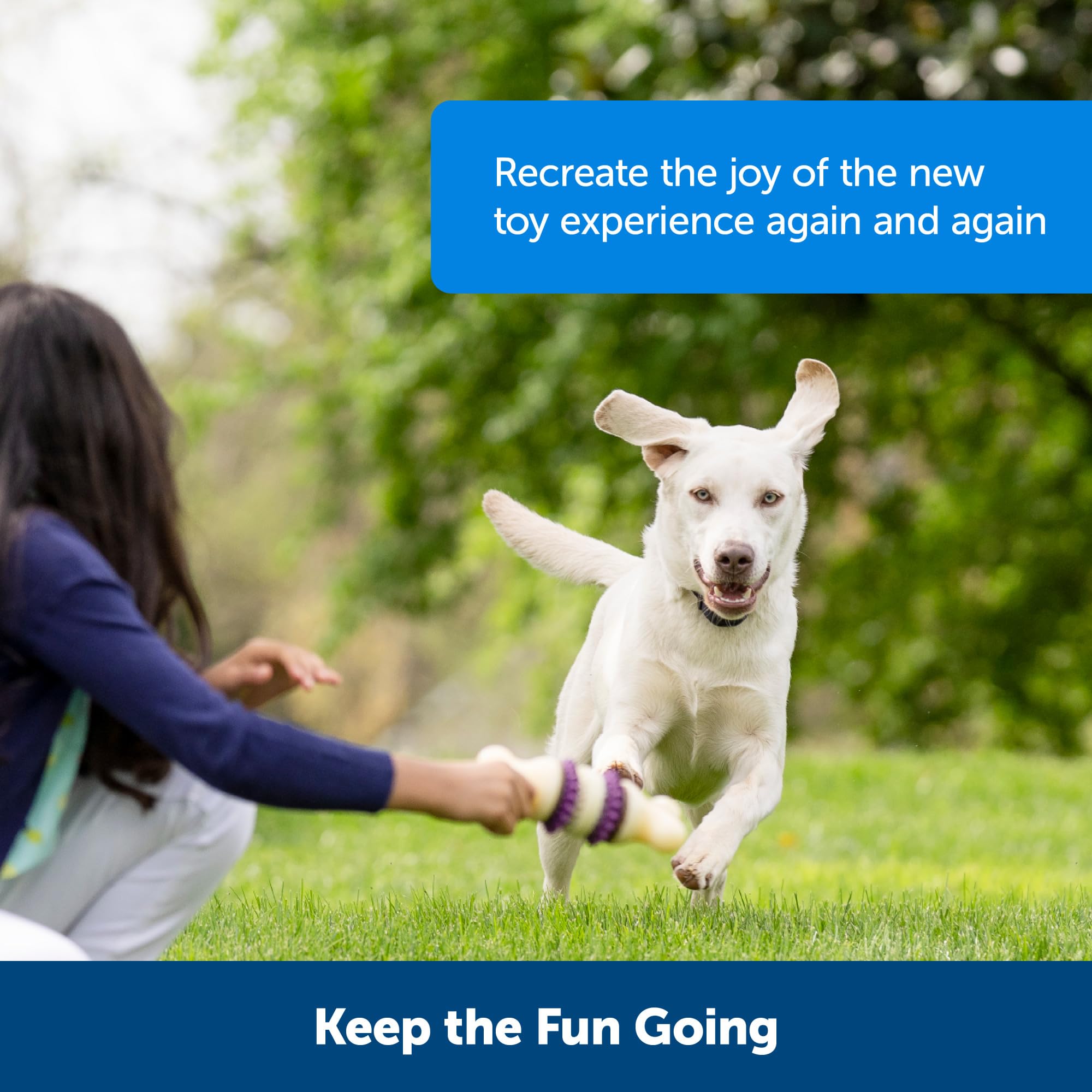 PetSafe Busy Buddy, ideal como premio durante entrenamiento diario