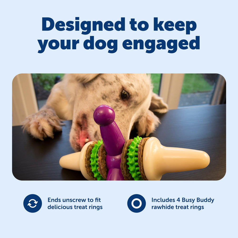 PetSafe Busy Buddy Jack: incluye anillos de premio para recompensas continuas