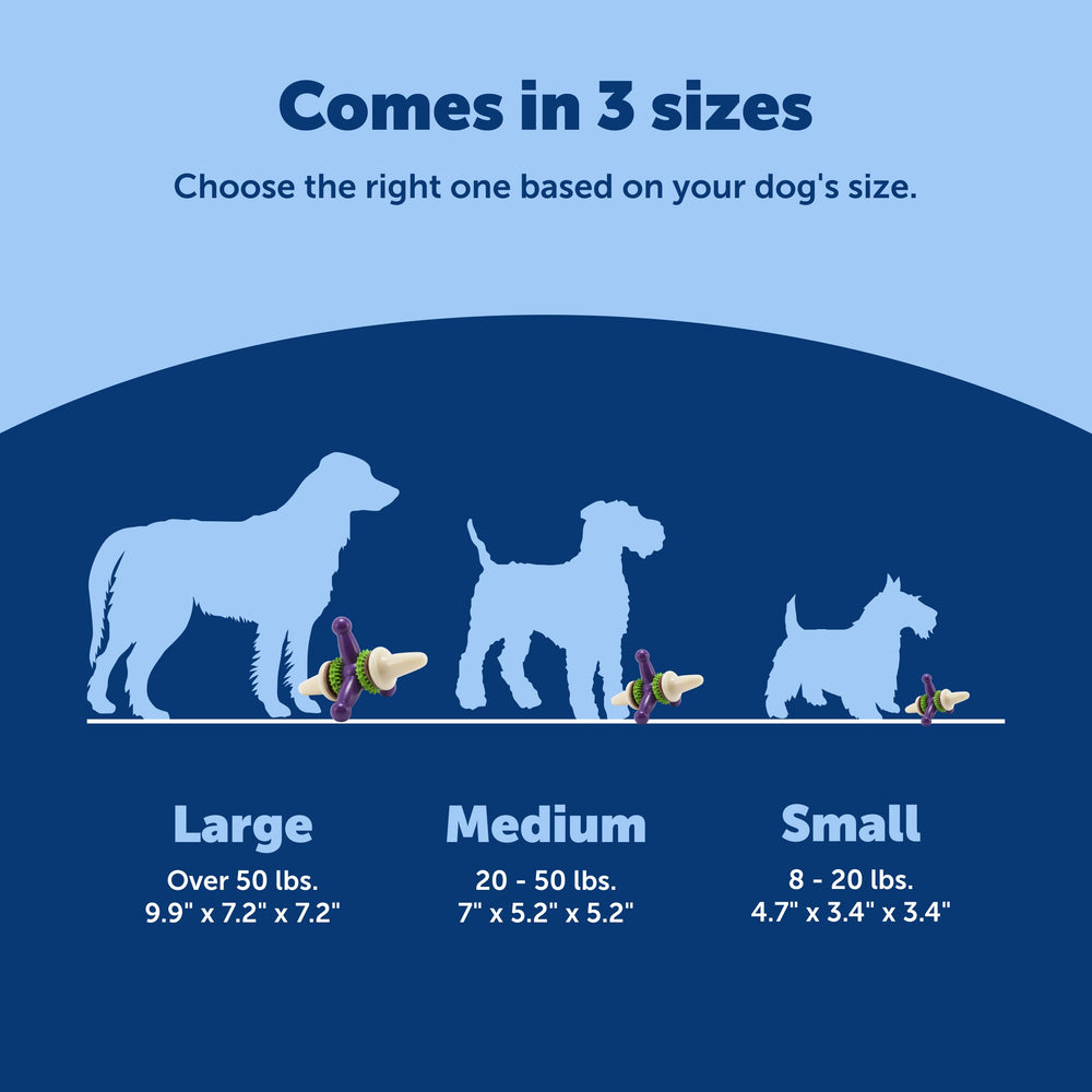 PetSafe Busy Buddy Jack: aroma vainilla que añade entusiasmo a cada mordida