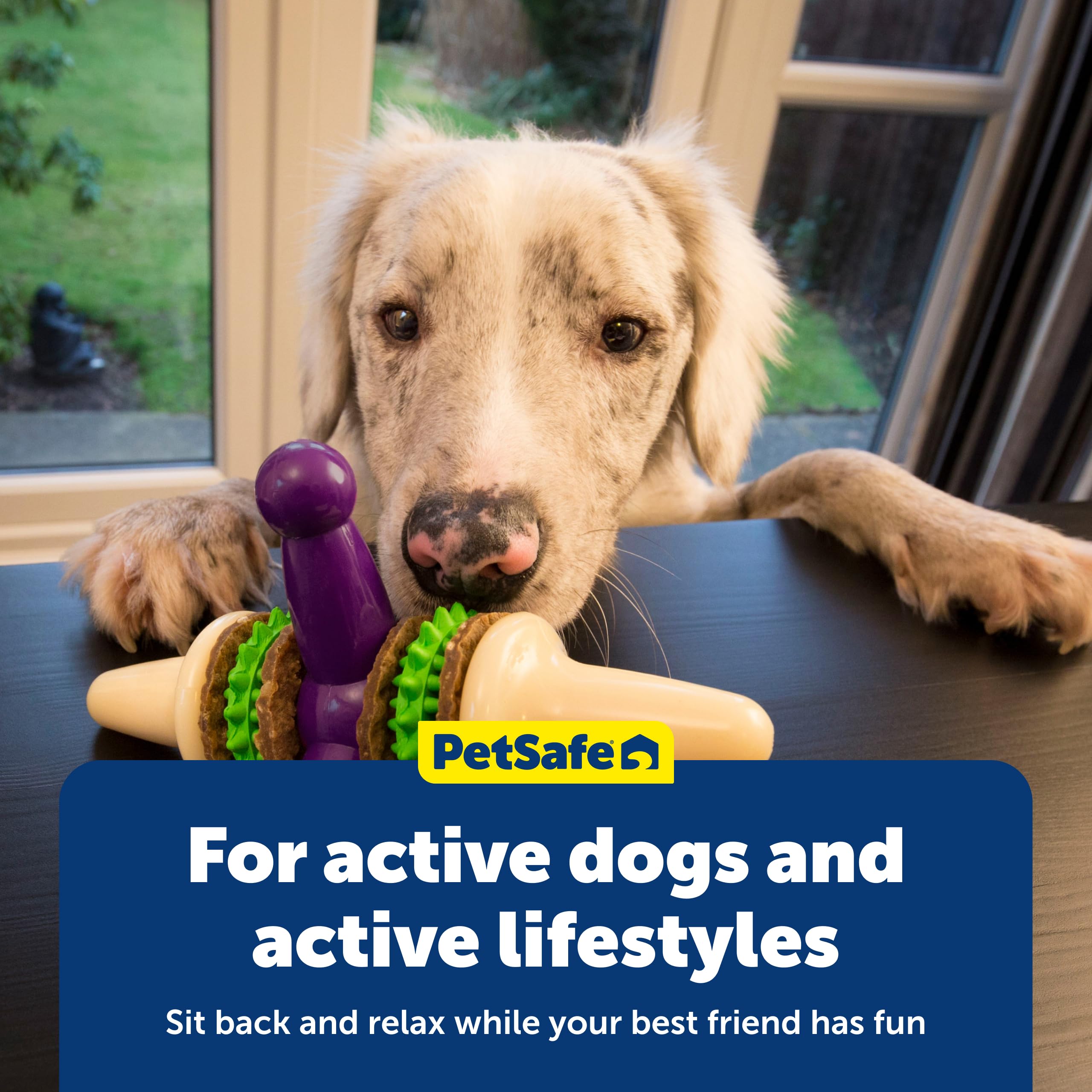 PetSafe Jack: aroma a vainilla que añade emoción al masticar.