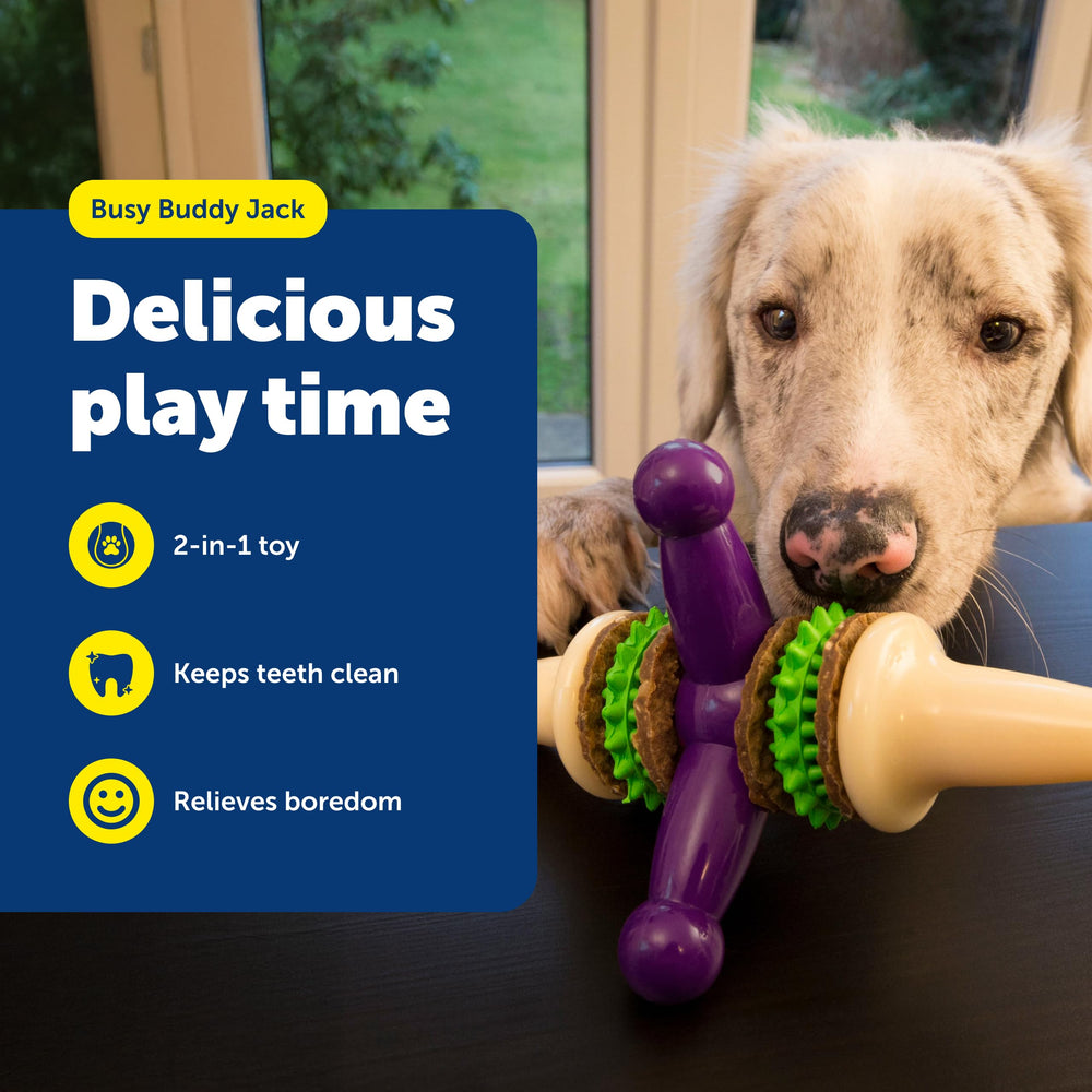 PetSafe Busy Buddy Jack: duradero para masticadores grandes y activos