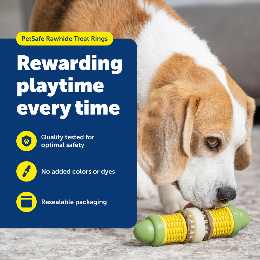 PetSafe Busy Buddy premios rawhide y mantequilla de cacahuete