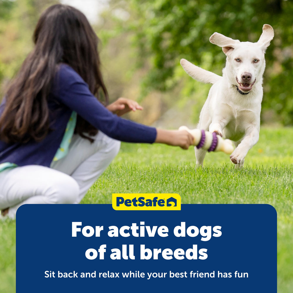 PetSafe Busy Buddy Tamaño B para perros de tamaño medio