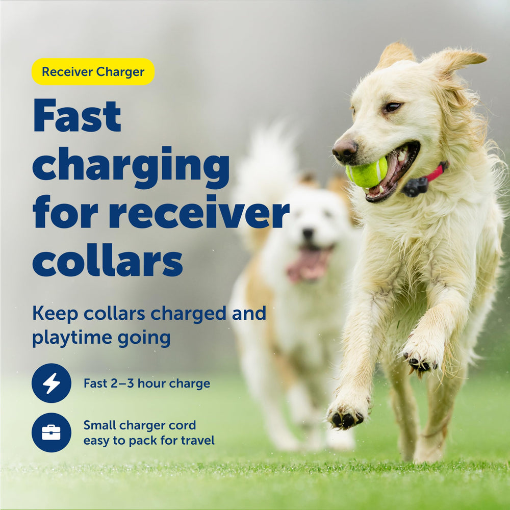 PetSafe cable USB de carga rápida para recargar el collar en casa o viaje.