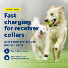 PetSafe cable USB de carga rápida para recargar el collar en casa o viaje.