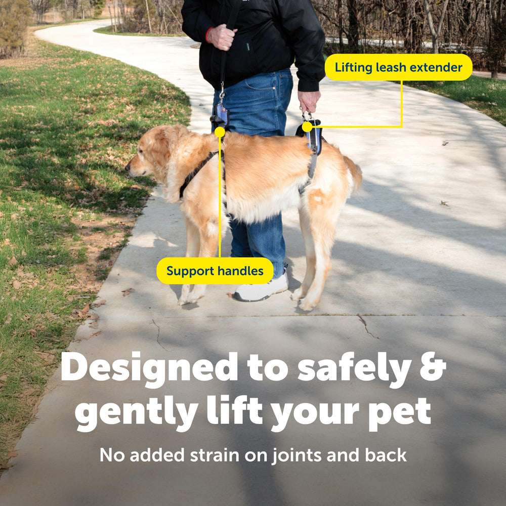 PetSafe CareLift protege perros machos con escudo removible para paseos cómodos.