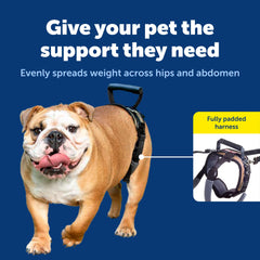 Petsafe CareLift asa de levantamiento: redistribuye la presión en las piernas traseras.