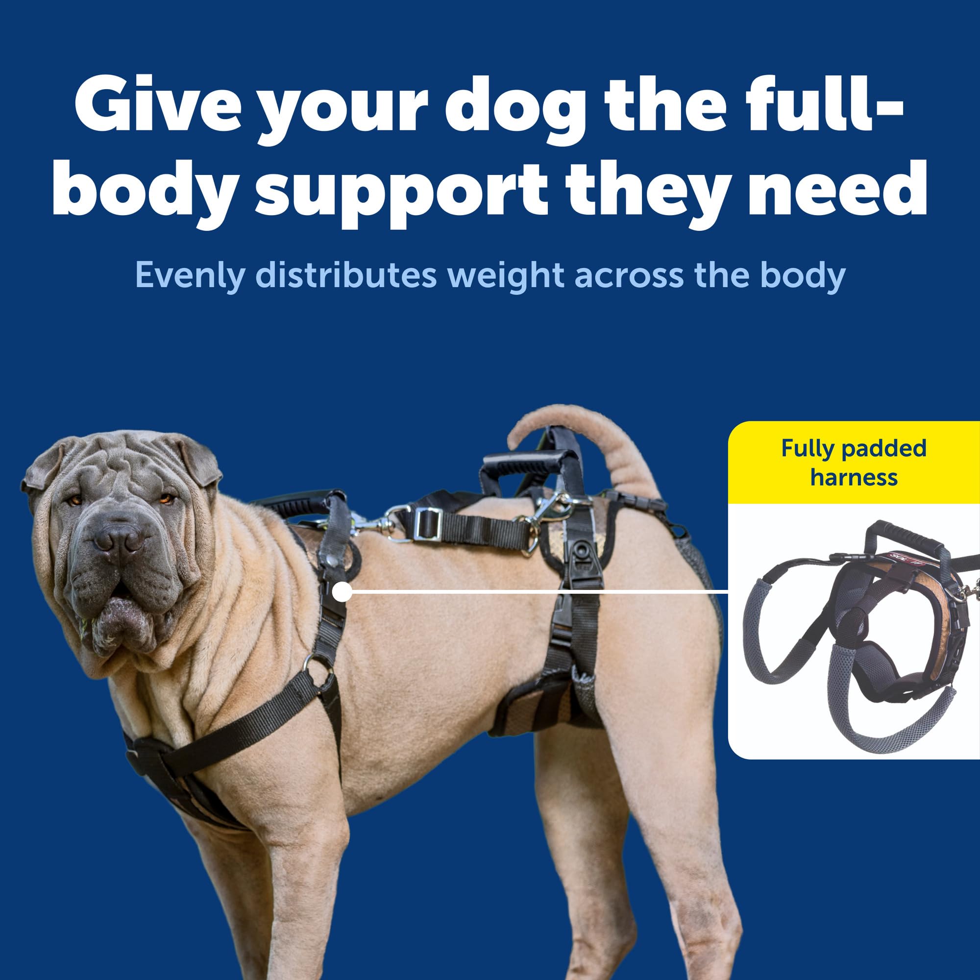 PetSafe CareLift asas delanteras y traseras para ayudar a levantarse