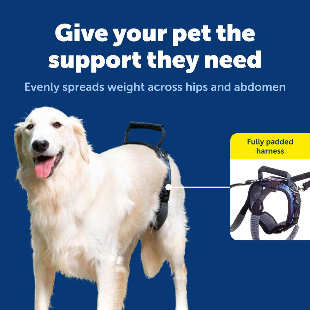 PetSafe CareLift extensor de correa para reducir la tensión en la espalda.