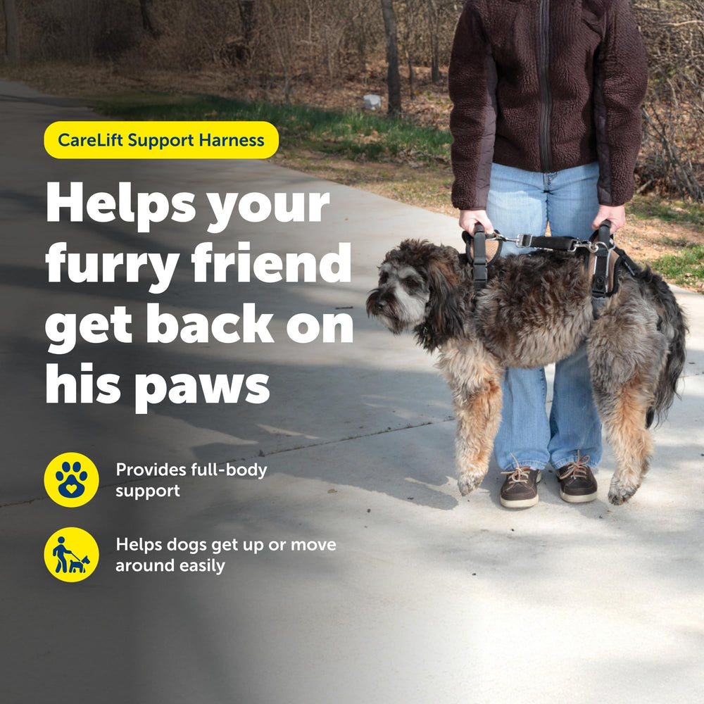 PetSafe CareLift malla respirable y forro suave para uso diario