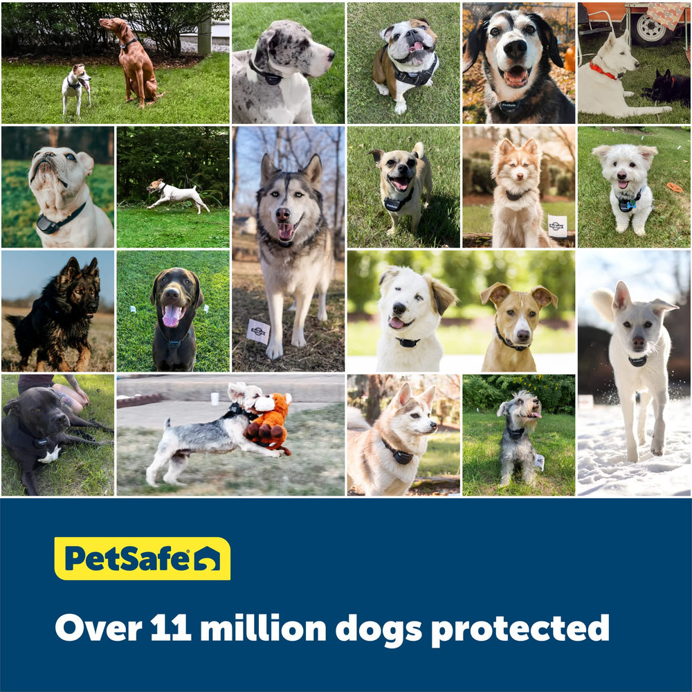 PetSafe cerca enterrada en uso, solución de contención para exteriores segura.