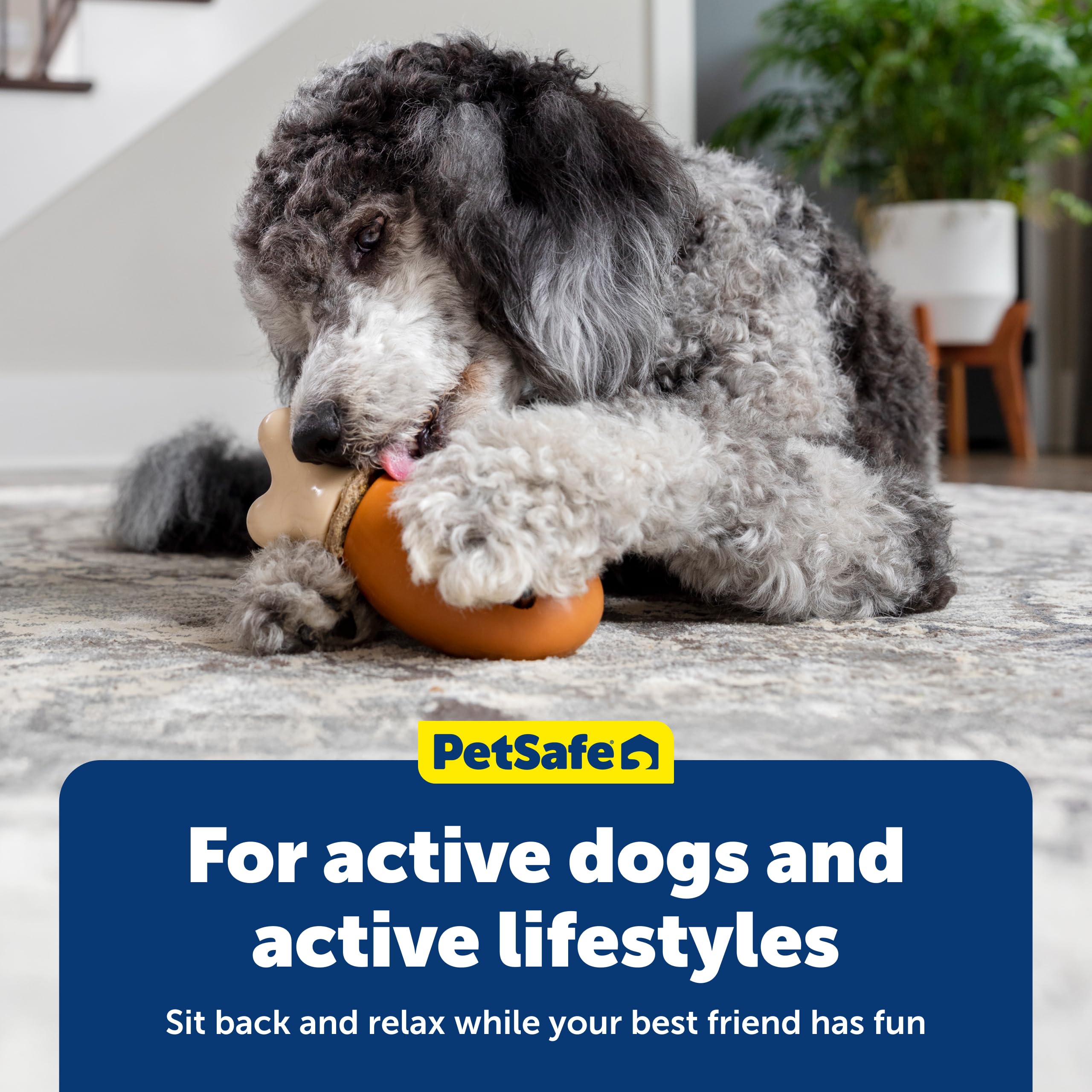 PetSafe Chompin' Chicken: apto para lavavajillas, limpieza rápida tras juego.