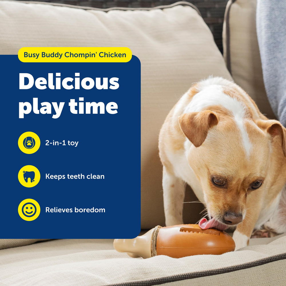 PetSafe Chompin' Chicken: texturas dentales que ayudan a limpiar suavemente durante cada mordida.