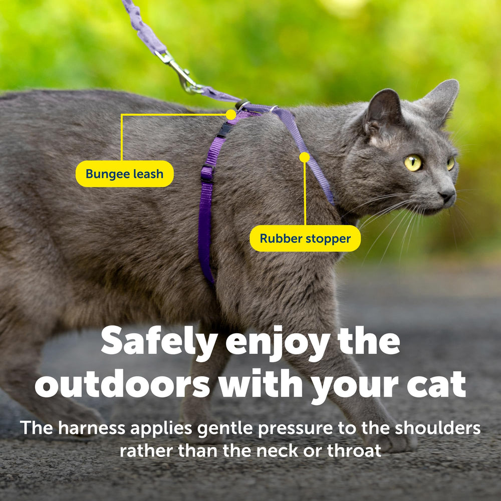 PetSafe correa rápida con broches de seguridad para gatos