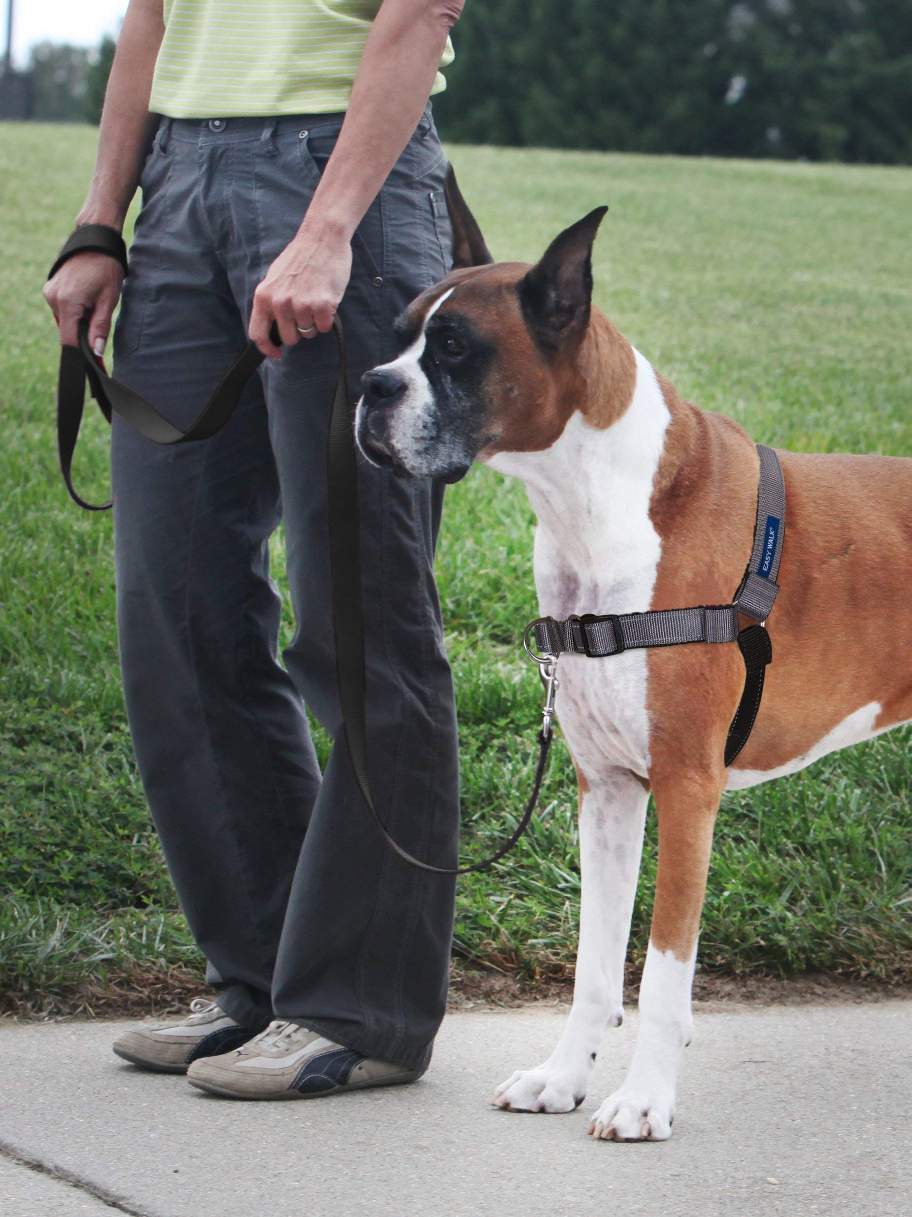 PetSafe Arnés Fácil Paseo con cierre rápido en hombro para colocar fácilmente.
