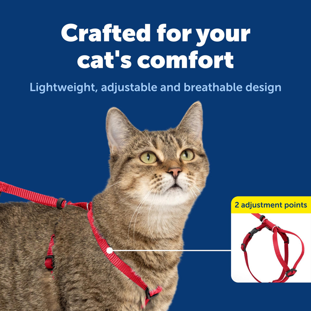 PetSafe Come With Me Gato: la correa bungee ligera para entrenamiento suave.
