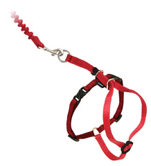 PetSafe Come With Me Gato: correa abdominal codificada por color para ajuste intuitivo.