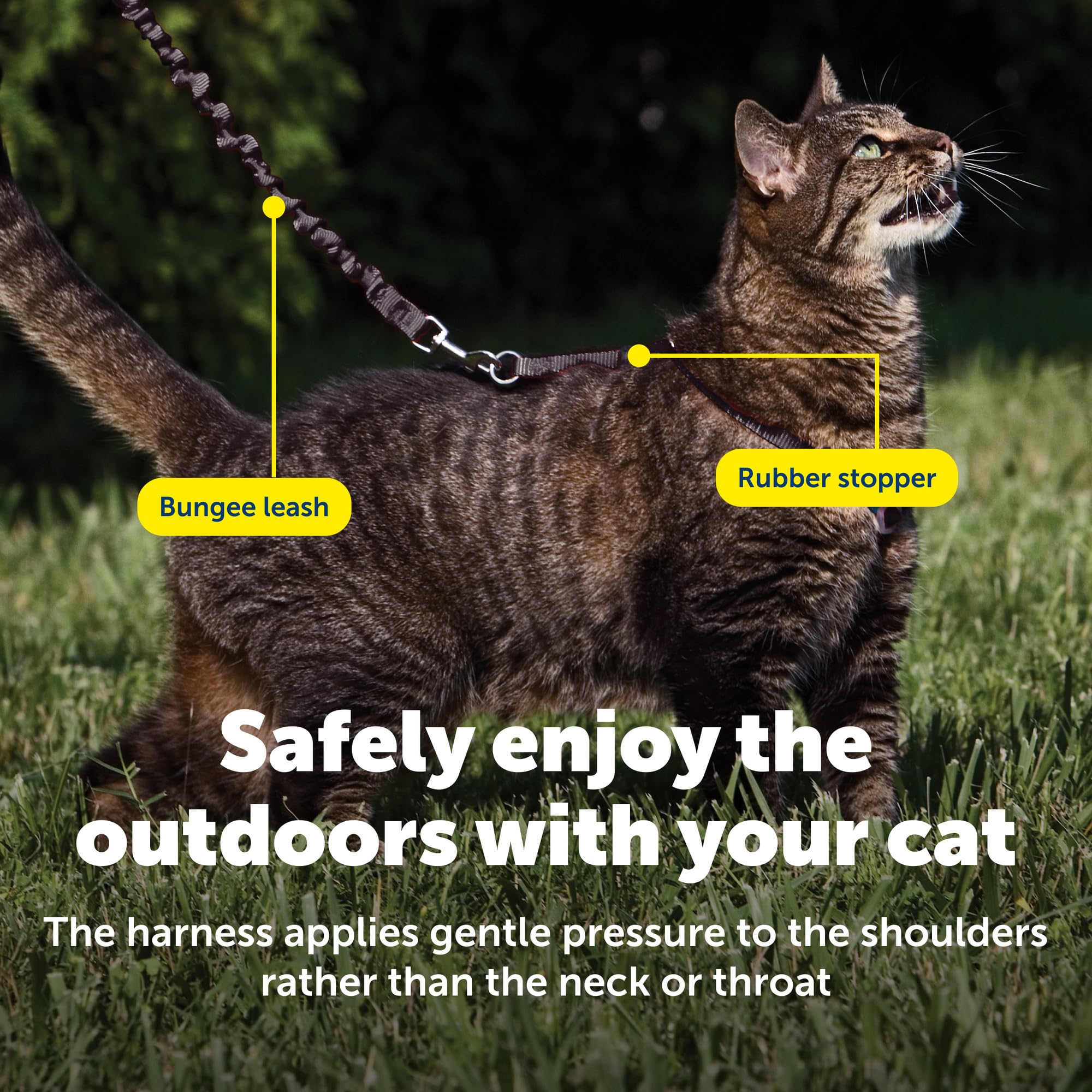Stopper de goma ajustable PetSafe Come With Me para adaptar tamaño sin tirones