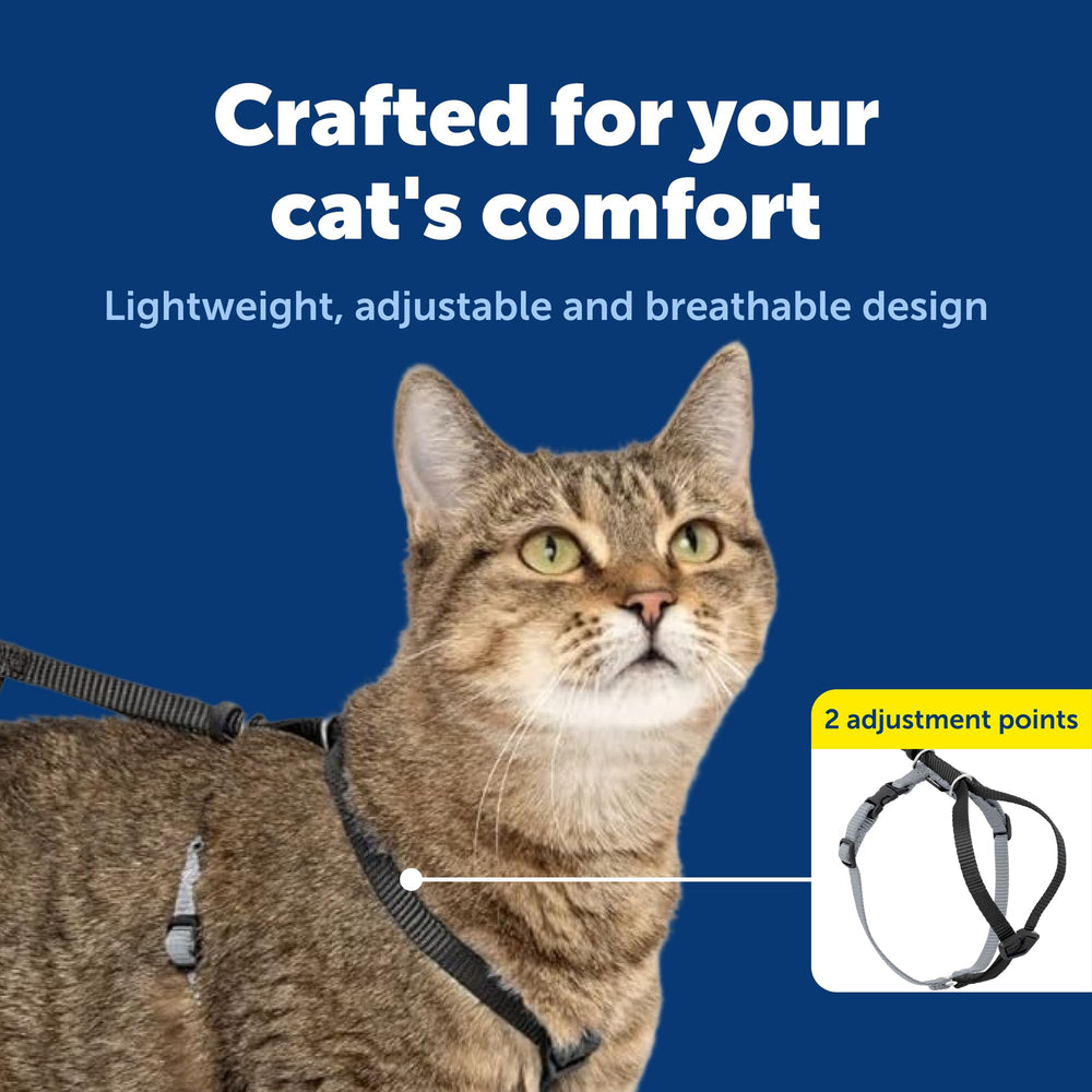 Variedad de tallas y colores PetSafe Come With Me para gatos activos