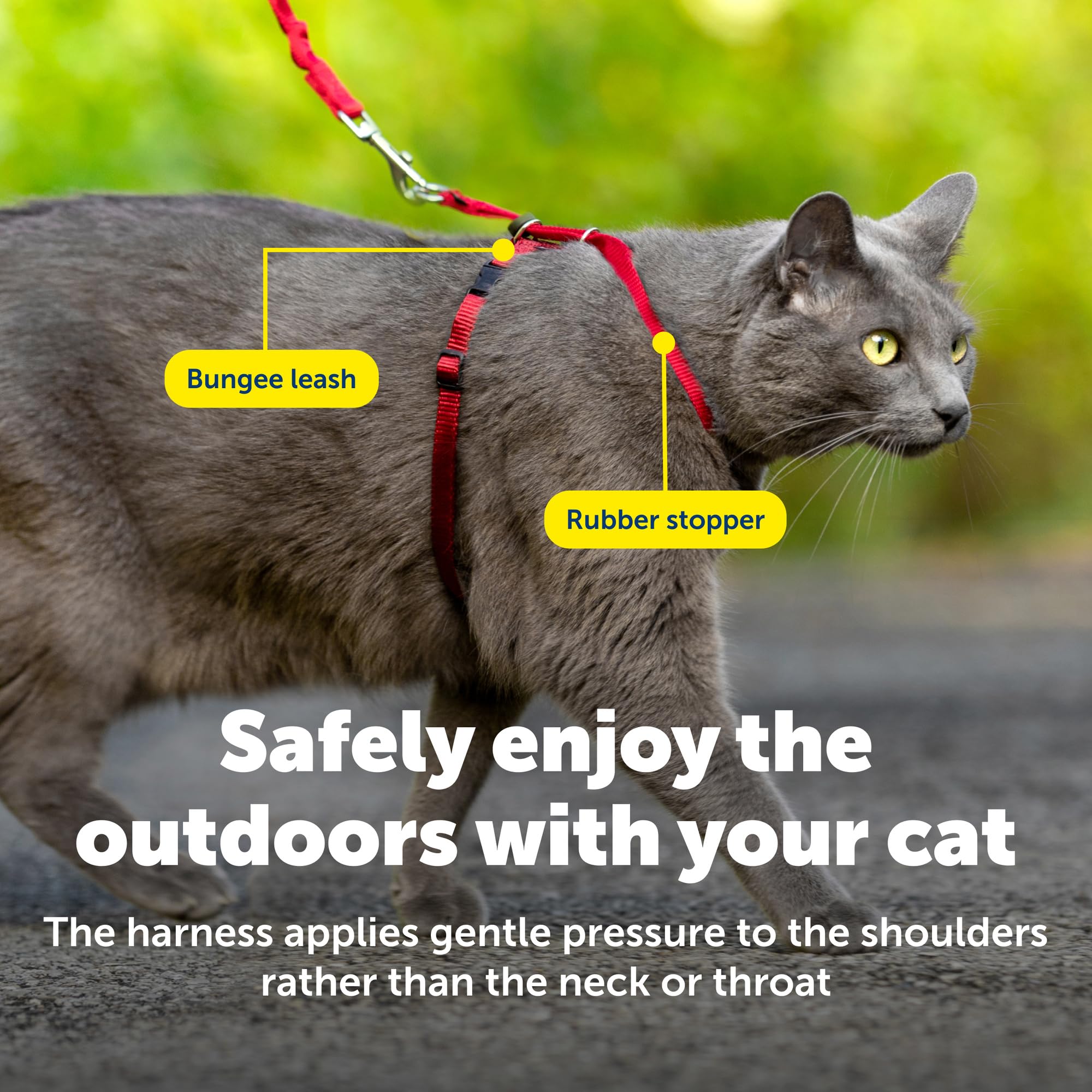 PetSafe Come With Me Gato: uso exterior fácil para paseos diarios.