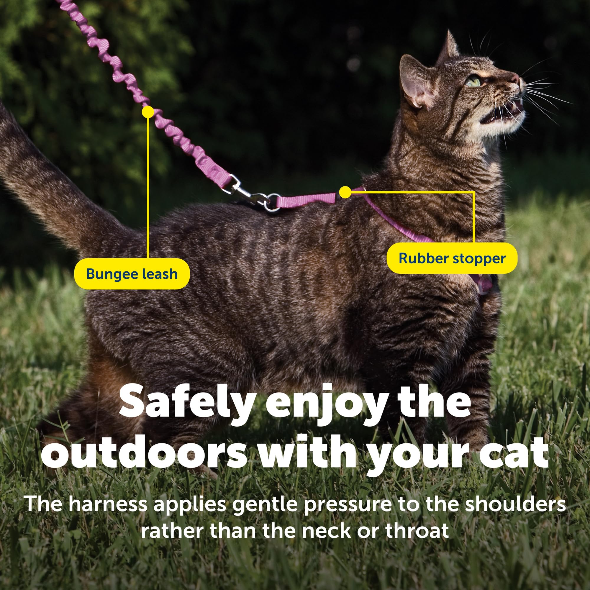 PetSafe Come With Me Kitty hebilla-rápida facilita ponérselo en segundos