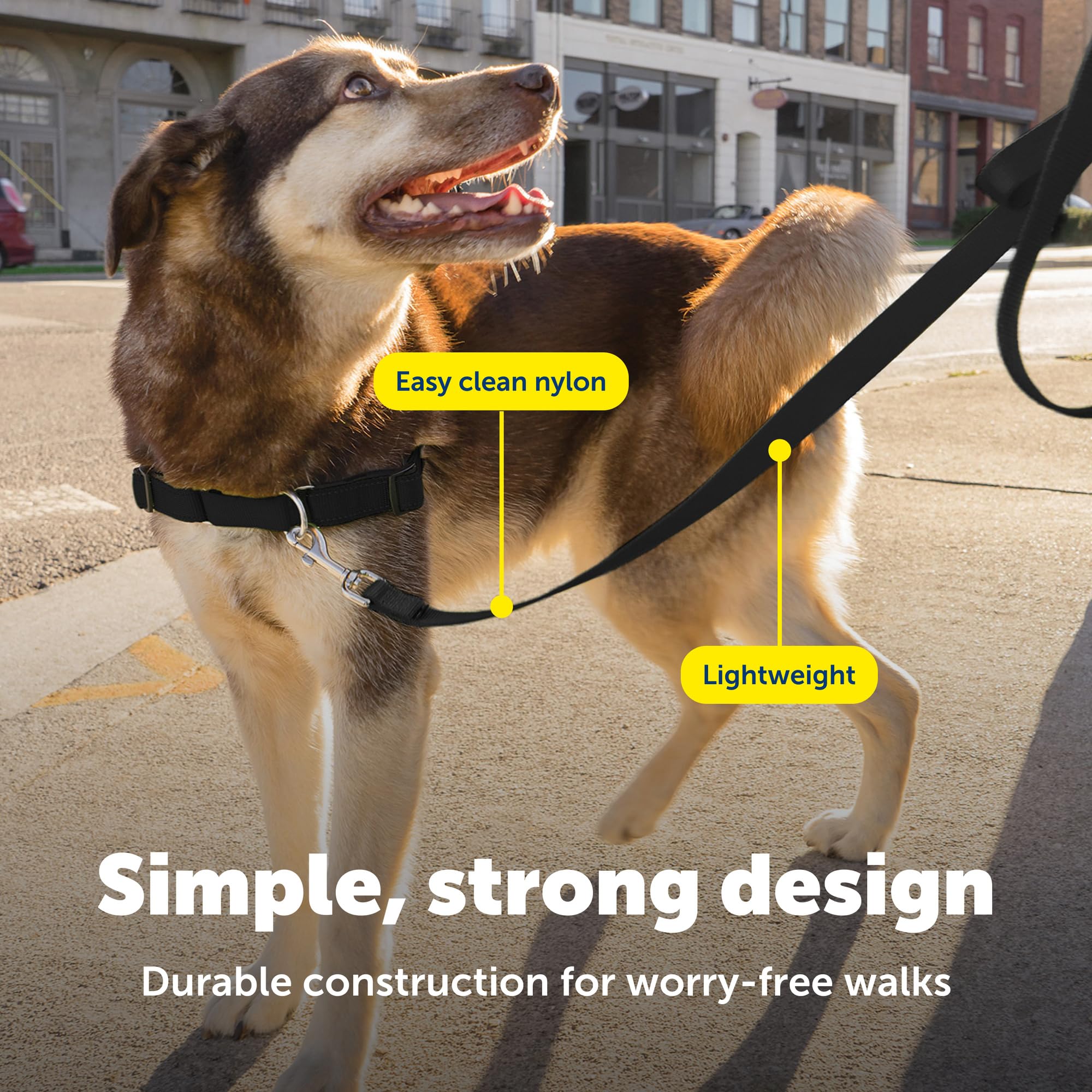 PetSafe correa nylon para uso diario, ligera y duradera.