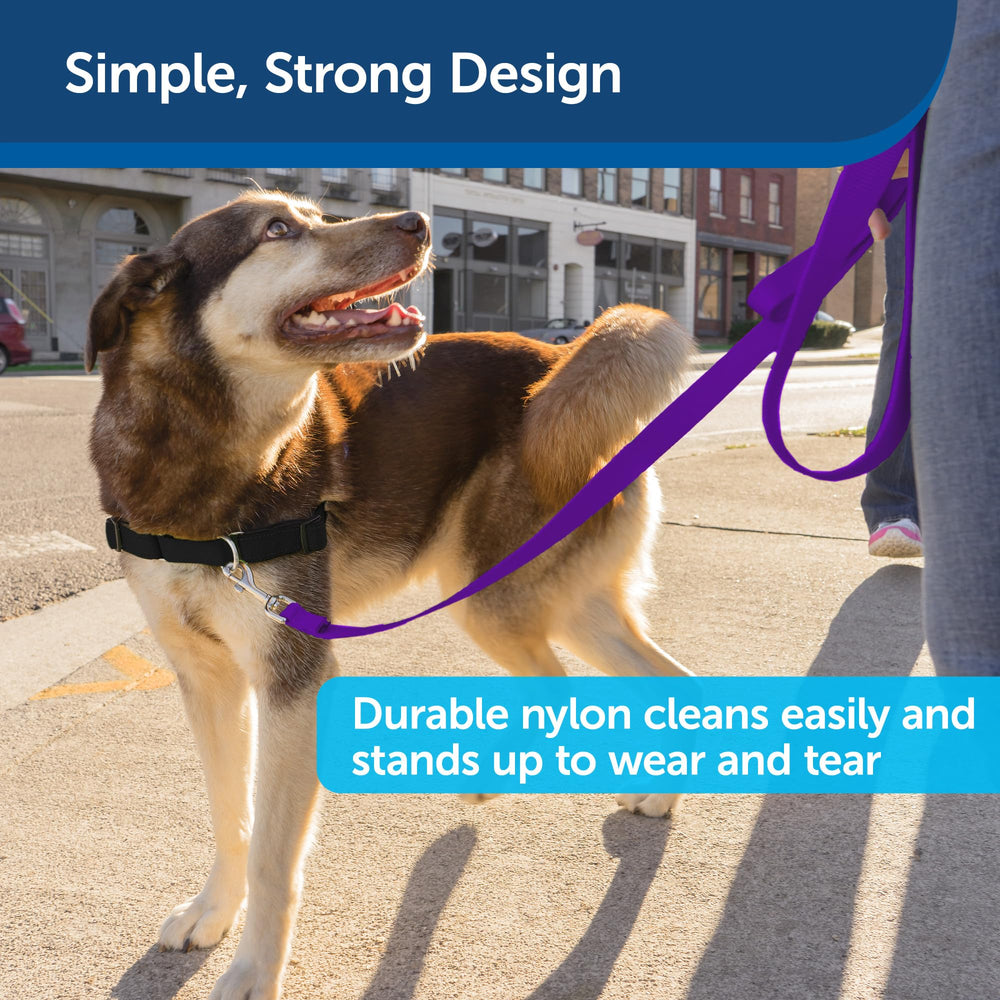 PetSafe correa nylon compatible con arneses y entrenamiento.