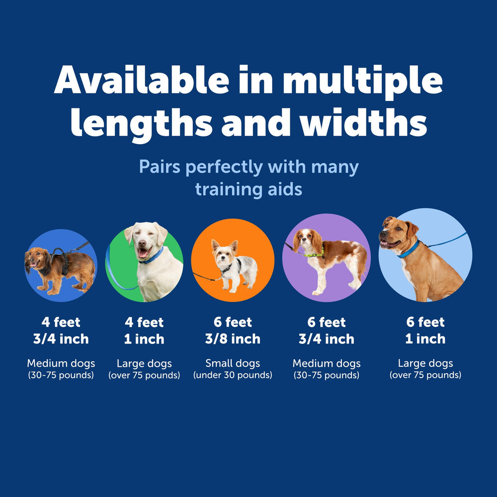 PetSafe Nylon Leash duradera para uso diario y largas caminatas.
