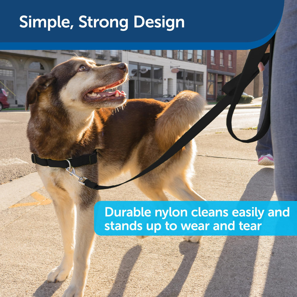 PetSafe correa nylon duradera para largas caminatas al aire libre