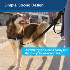 PetSafe correa nylon duradera para largas caminatas al aire libre