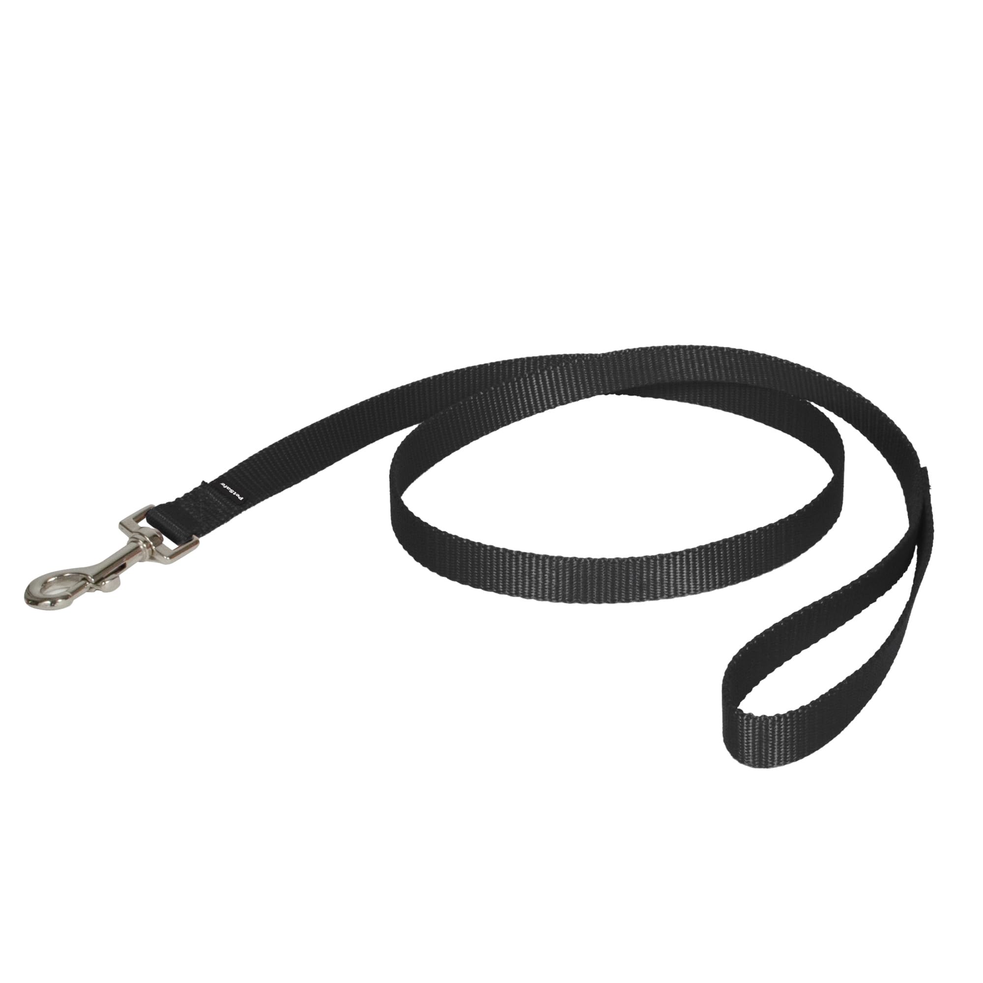 PetSafe correa de nylon con mosquetón inoxidable, ideal para paseos seguros.