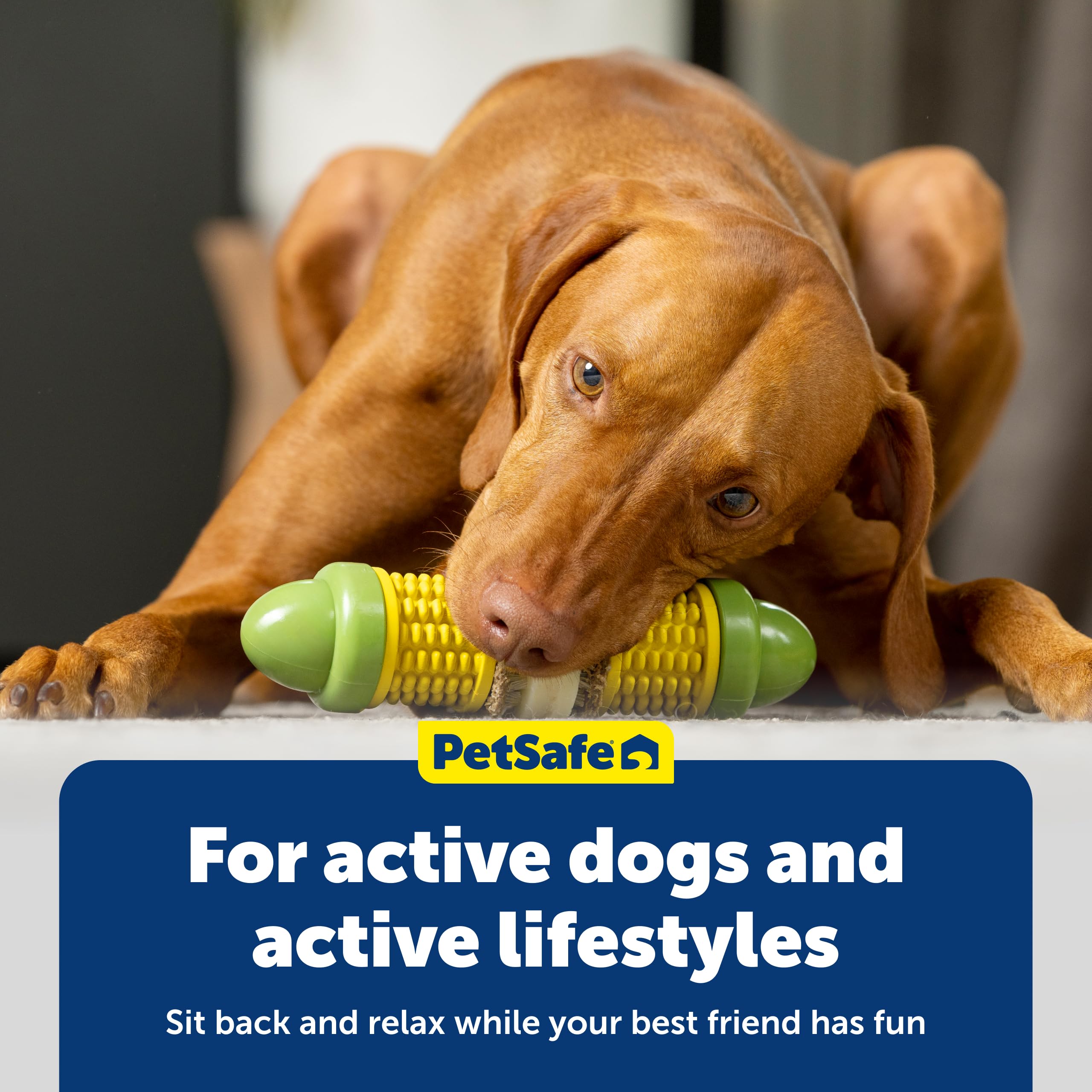 PetSafe Cravin' Corn: diseñado para perros mayores de 6 meses.