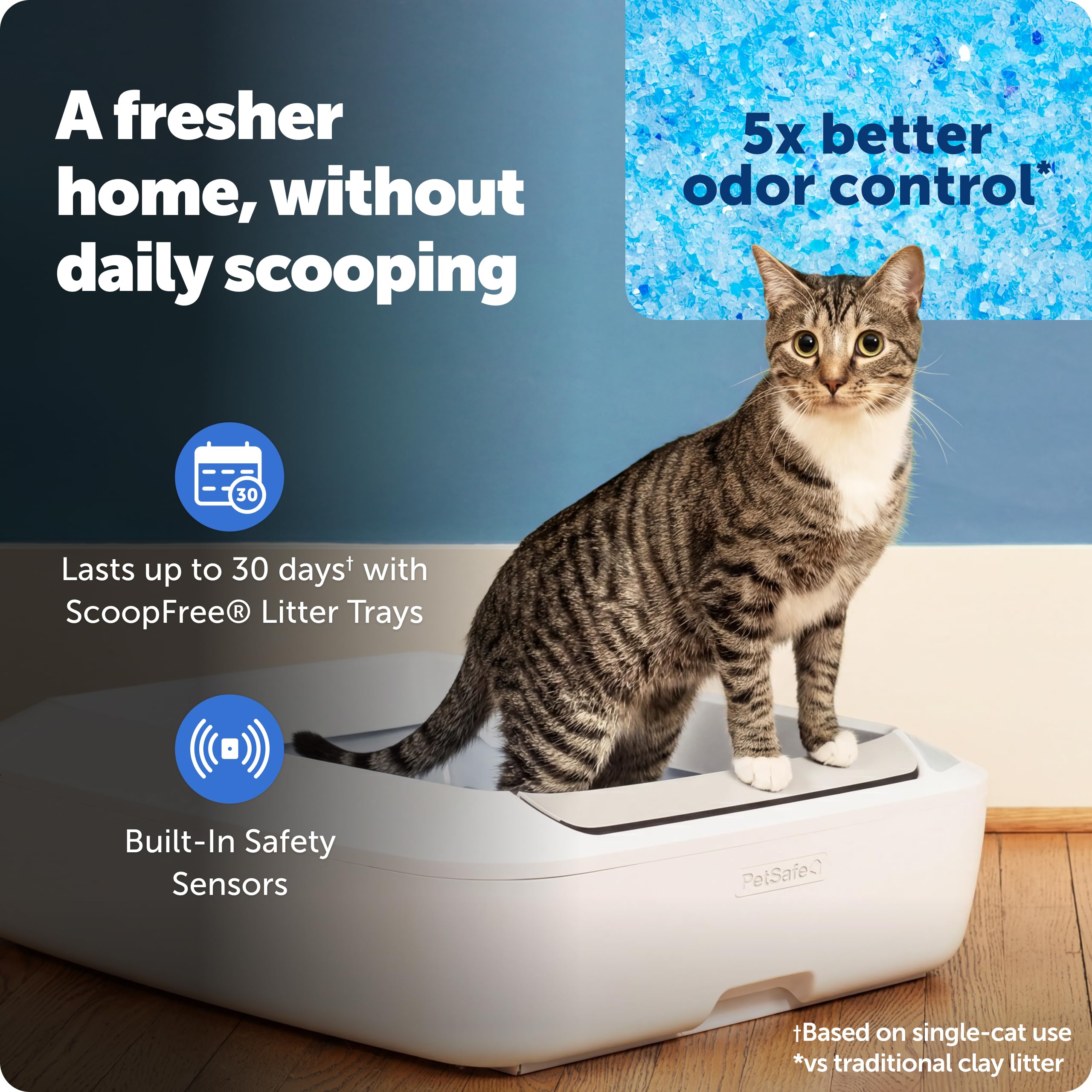 PetSafe Crystal Plus: bandeja-cristal-desechable, limpieza sin escobas para dueños ocupados.