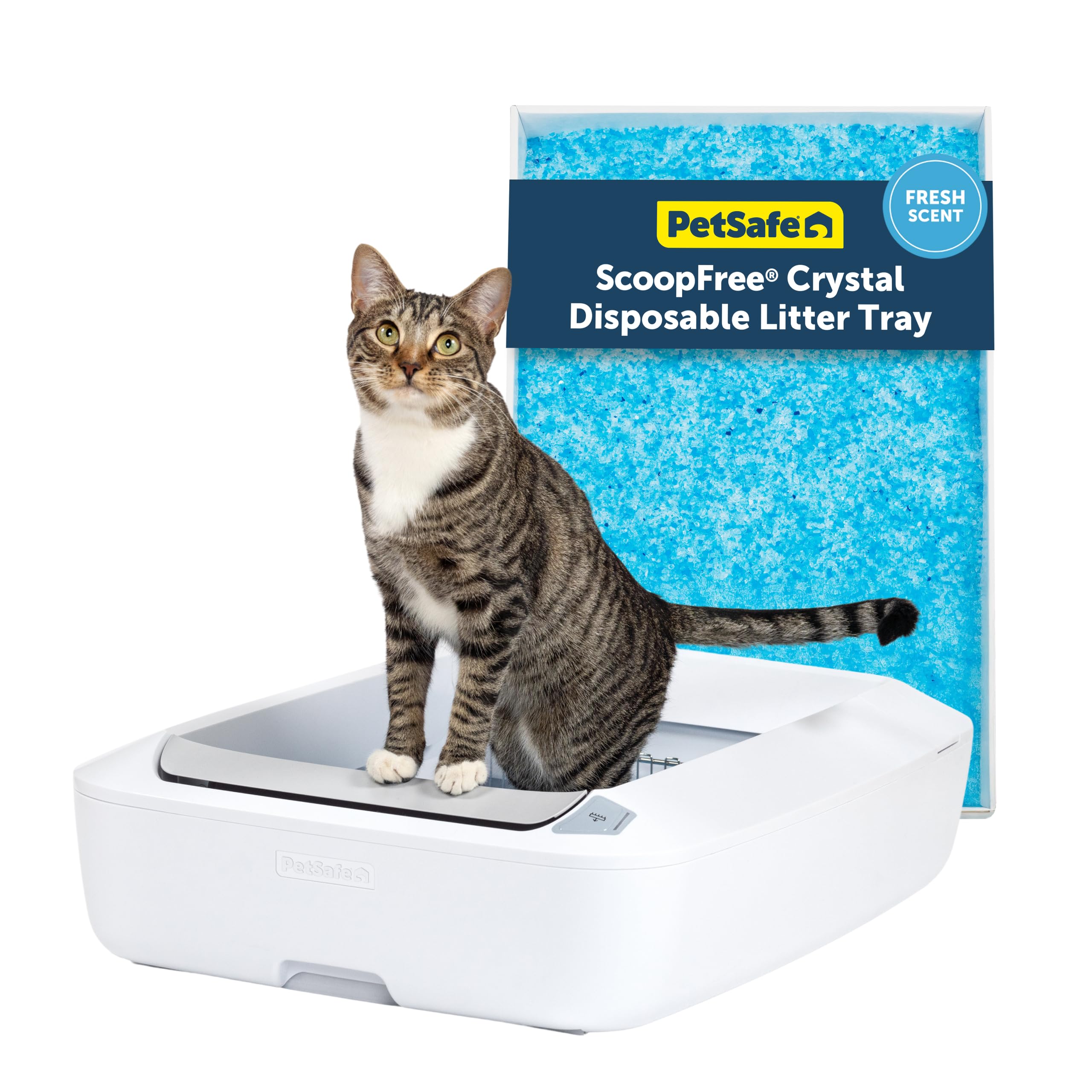 PetSafe Crystal Plus: caja-arena-automatico-frente, control de olores mejorado para hogares.