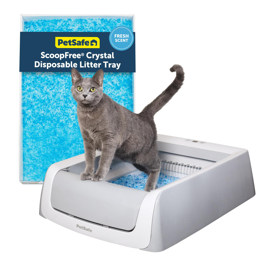 Caja PetSafe Crystal Pro Legacy sin tapa facilita la limpieza automática de la caja