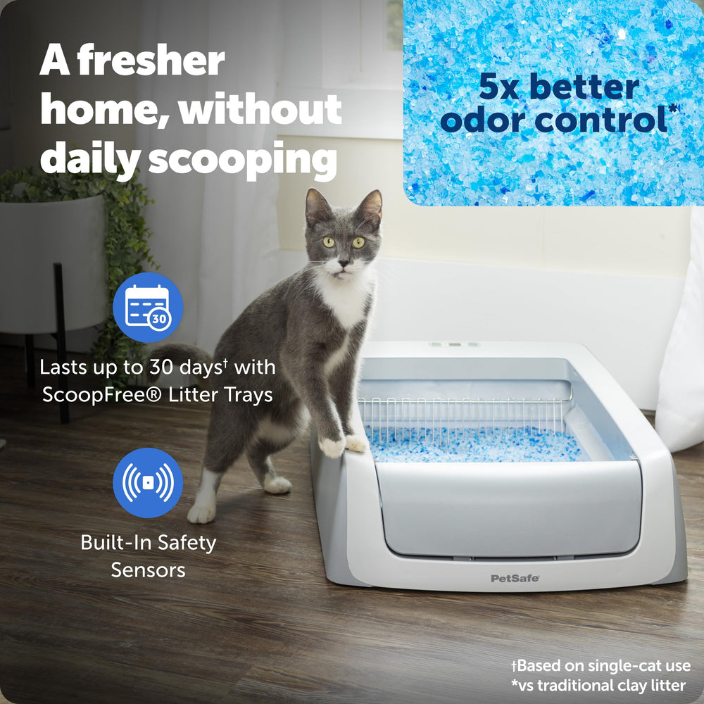 Sensor de movimiento en PetSafe Crystal Pro Legacy para activar la limpieza