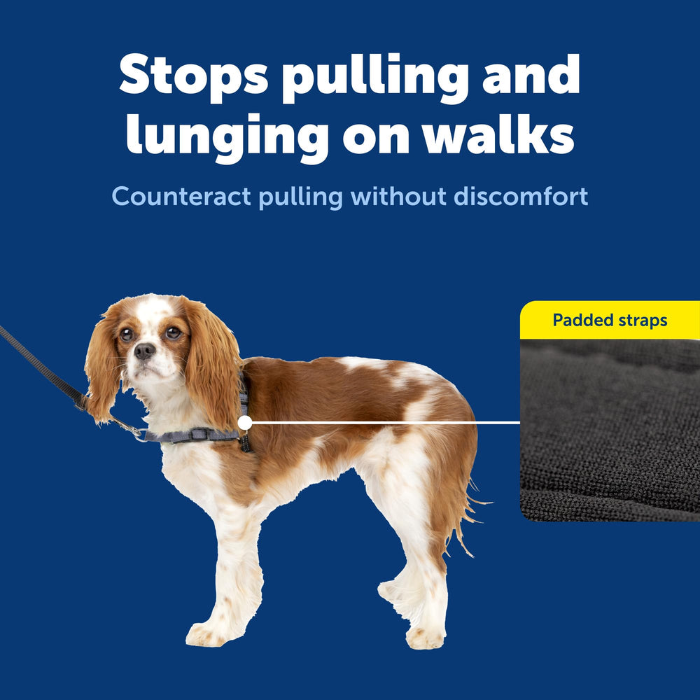 PetSafe asa de control para paseos más tranquilos