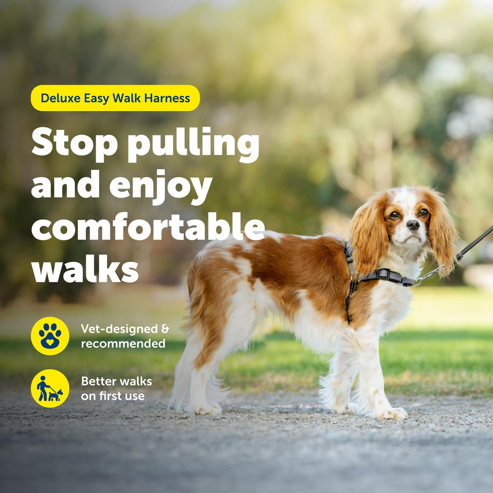 PetSafe colores en la barriga para identificar ajuste fácilmente